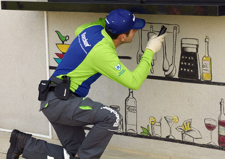 Tips to keep pests away and myths