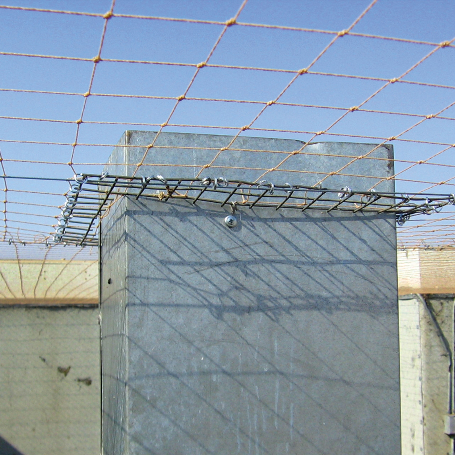 2'' Black Bird Net: 50 x75 feet - Bird Repellent