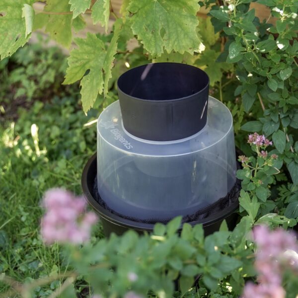 BG-GAT Outdoor Tiger Mosquito Trap (2x) - Mosquito Control - Image 3