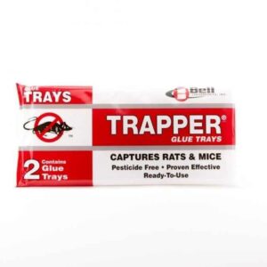 TRAPPER® GLUE BOARDS FOR RATS - Rodent Control