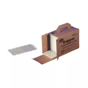 TRAPPER® GLUE BOARDS FOR RATS - Rodent Control