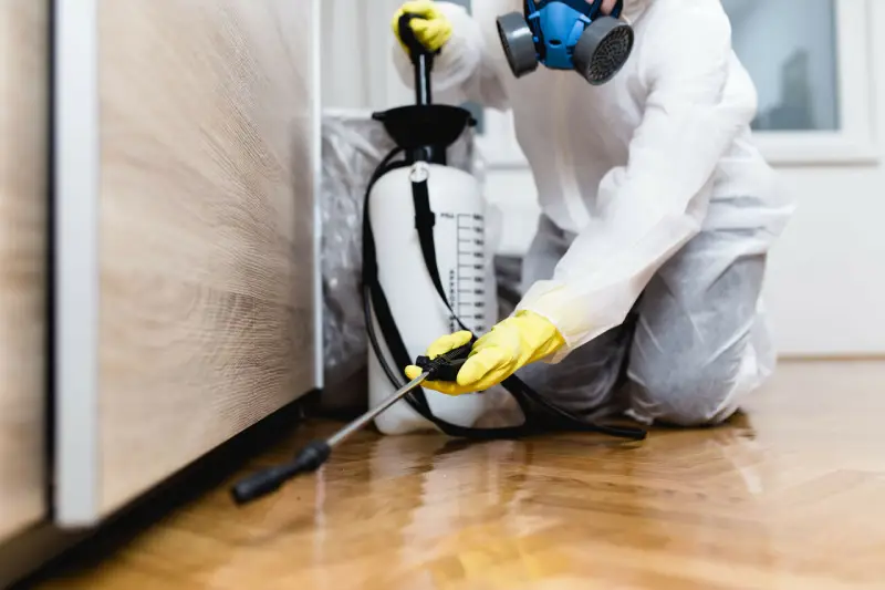 germ control indoor