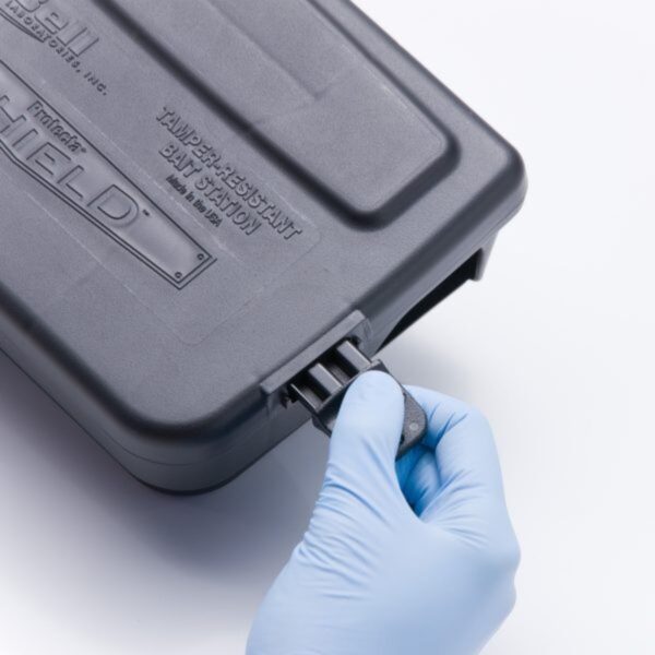 PROTECTA® SHIELD - Pack of 12 - Rodent Control