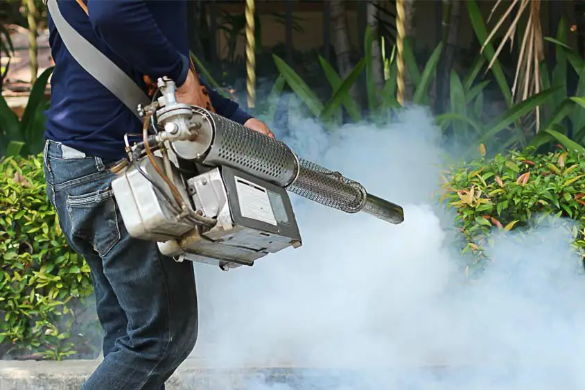 Effective Pest Control